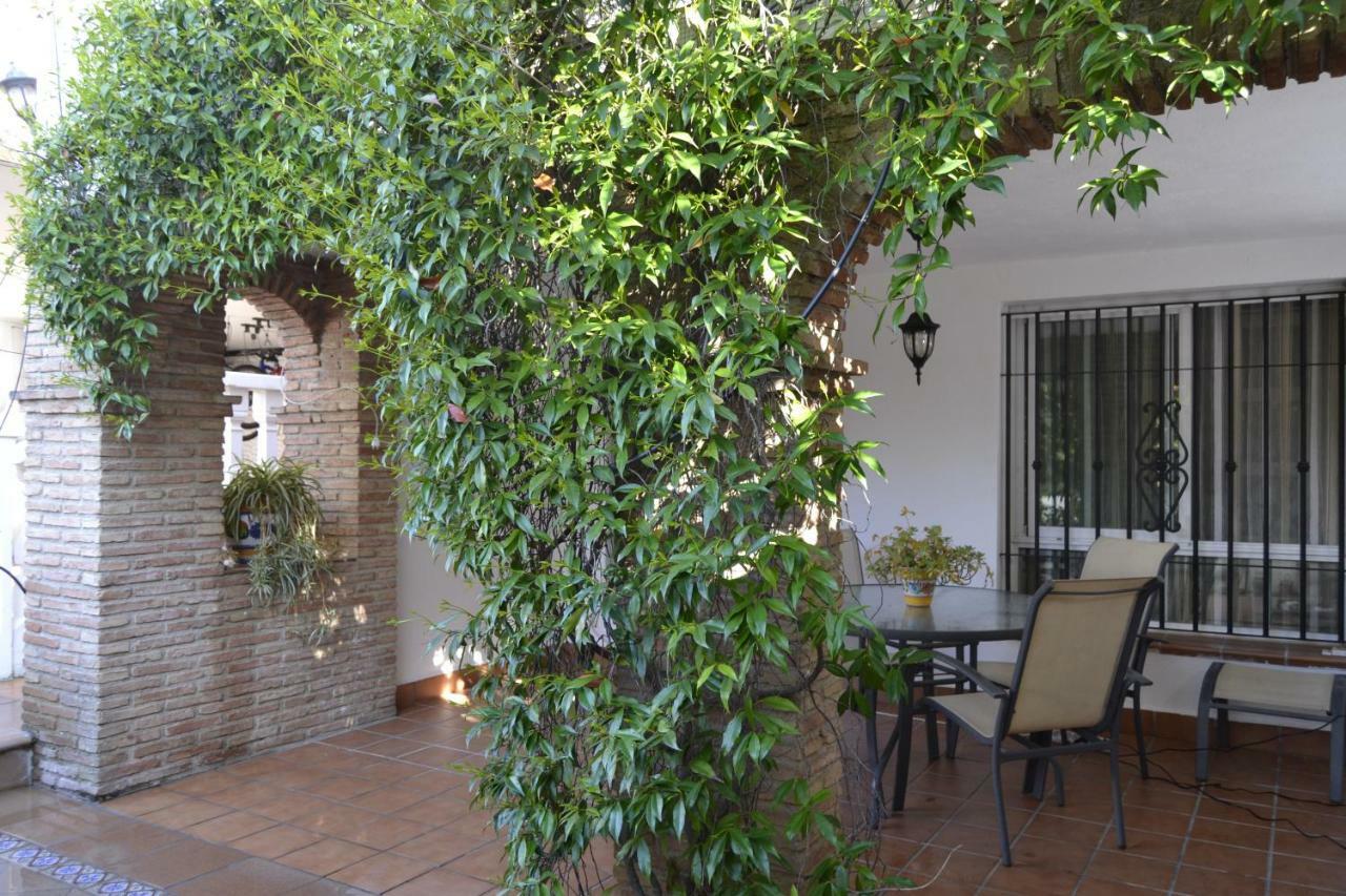 Apartmán El Librero De La Alhambra La Zubia  Exteriér fotografie